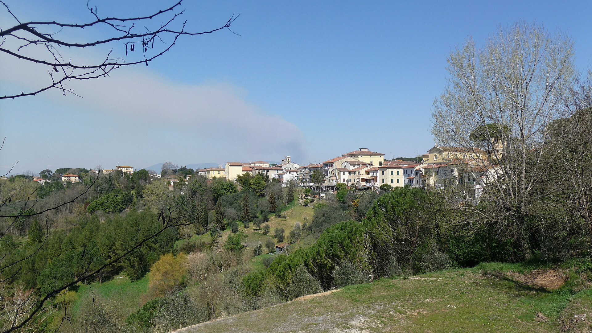 Fauglia